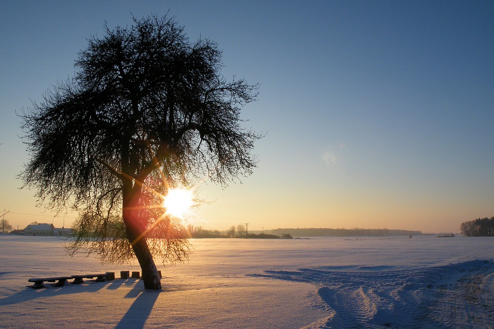 Fotografii de iarnă